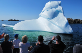 Iceberg viewing, Newfoundland and Labrador