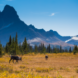 Parks Canada