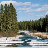 Prince Albert NP