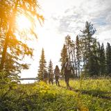 Prince Albert NP