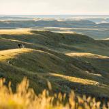 Grasslands National Park