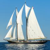 Die Bluenose