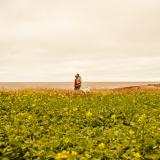 Weite Landschaft mit Blick aufs Meer