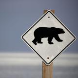 Ein Warnschild "Achtung Eisbär" in der Tundra bei Churchill