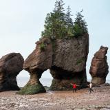 Hopewell Rocks Provincial Park (New Brunswick)