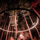 Nacht Installation im Wald