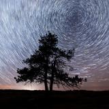 Sternenhimmel in den Cypress Hills