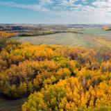 Herbstfarben in Alberta