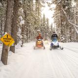 Schneemobile sind auf einem verschneiten Trail im Wald im Whitecat Hill Provincial Park unterwegs.